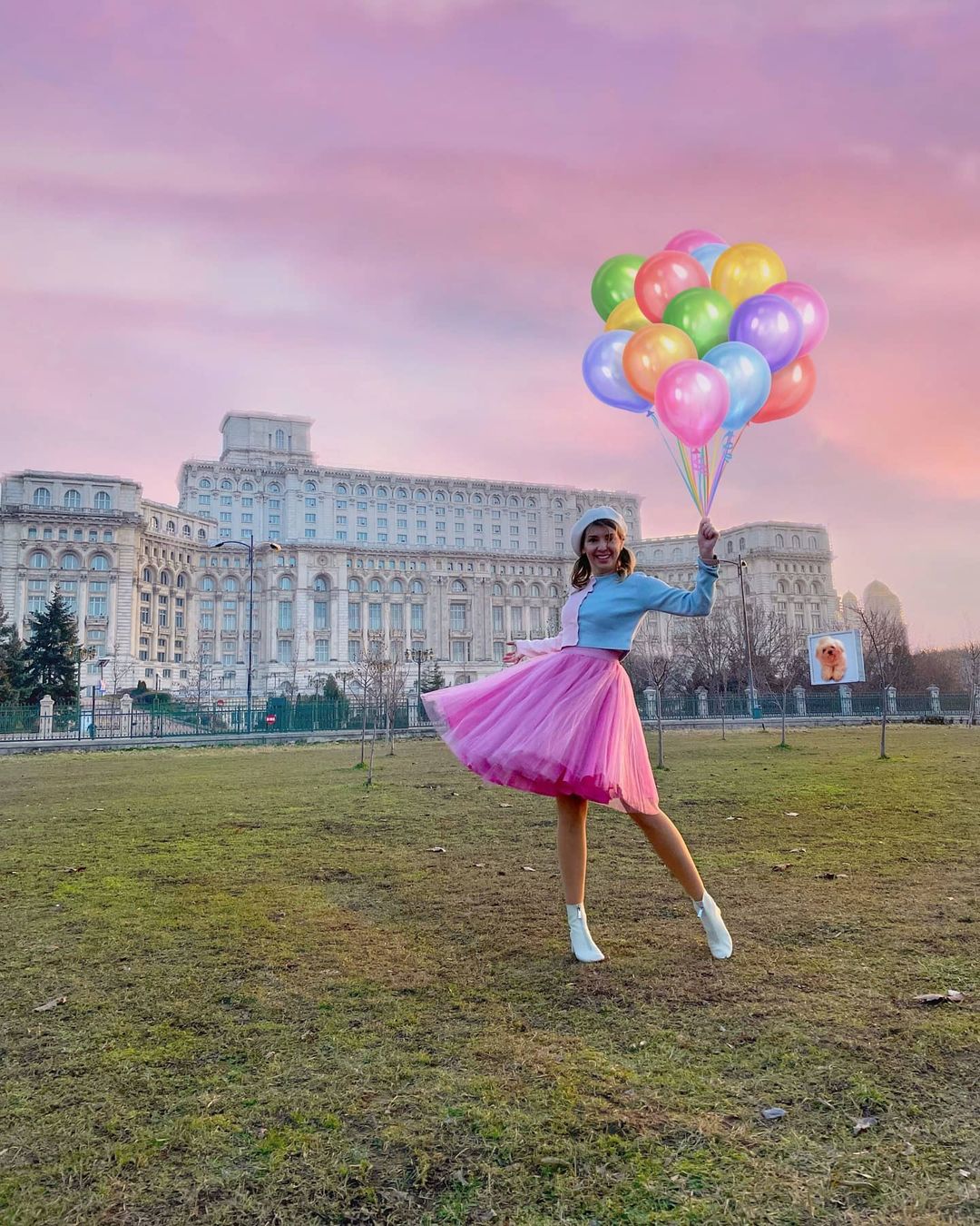 Tull — Roz pudrat