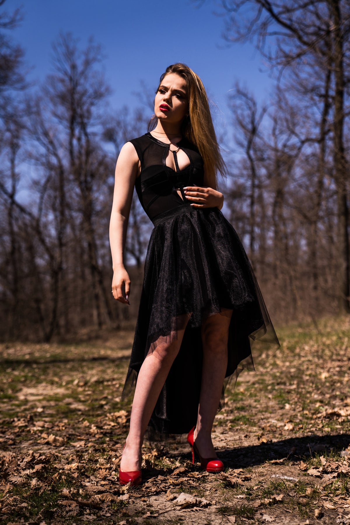 Alegi modelul